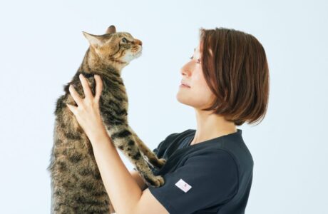 一般社団法人　幸(ゆき)のイメージ