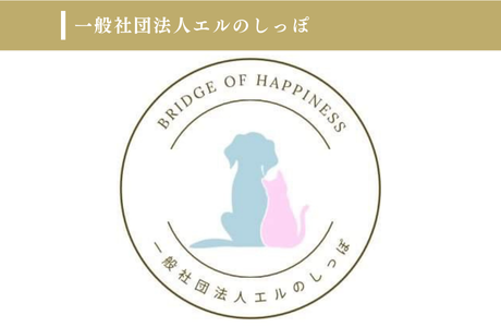 一般社団法人エルのしっぽのイメージ