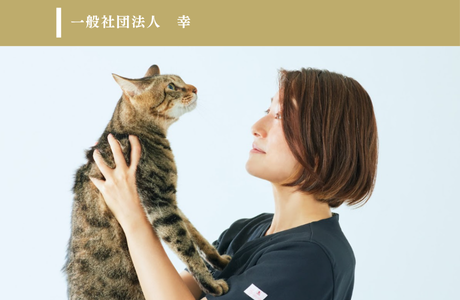 一般社団法人　幸(ゆき)のイメージ