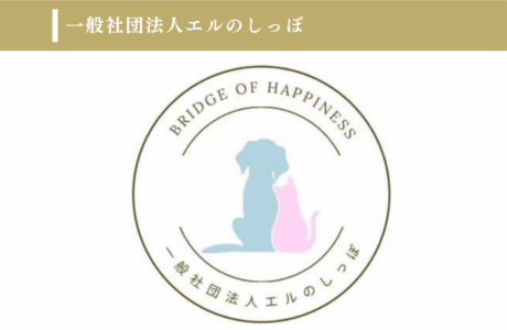 一般社団法人エルのしっぽのイメージ